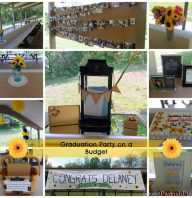 DIY- Graduation Party On A Budget