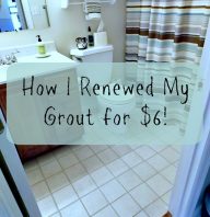 How I renewed my Grout for $6