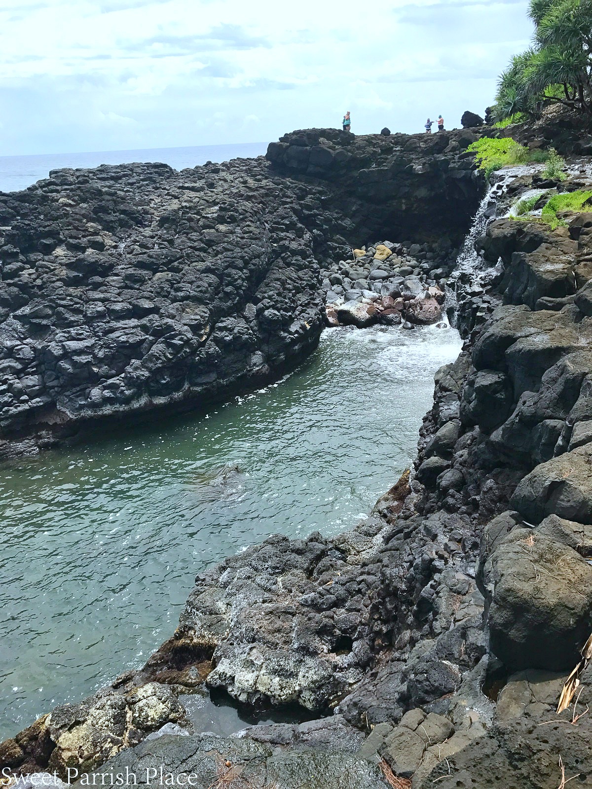 Trip Report Kauai Hawaii