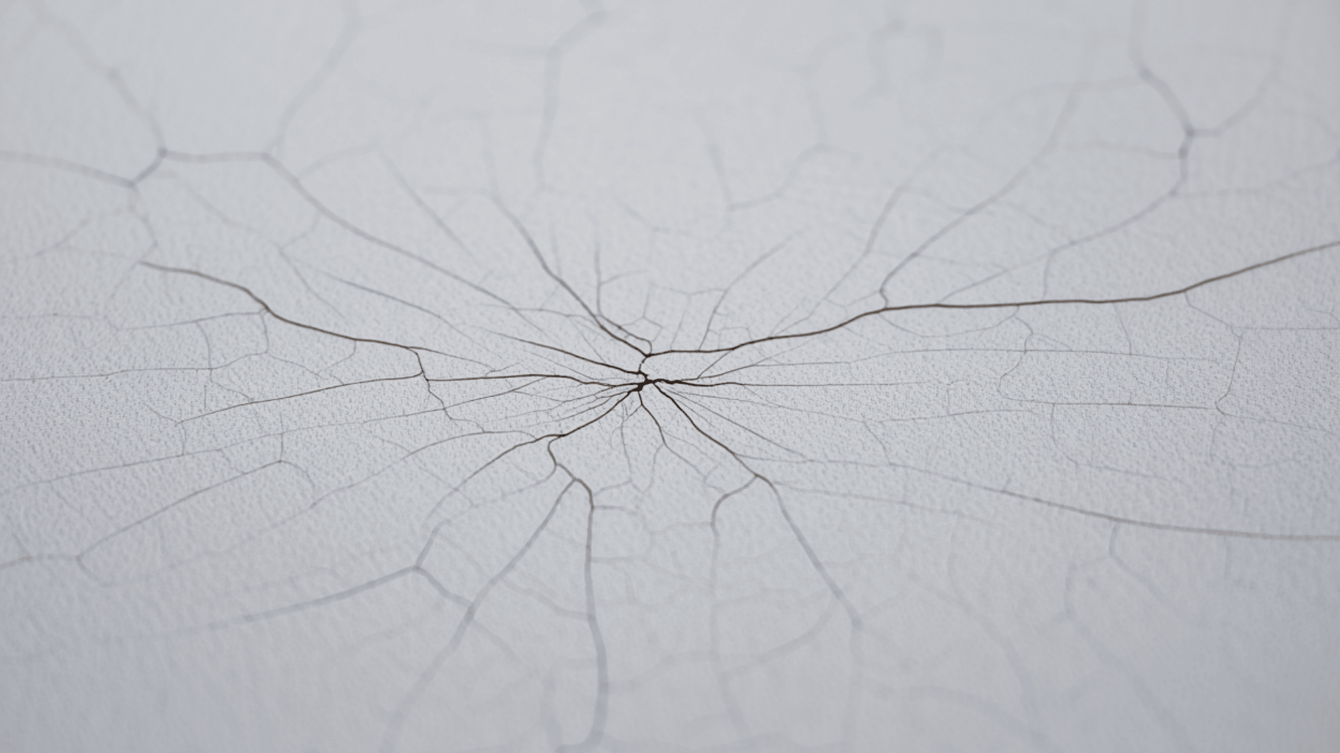 Spiderweb_Ceiling_Cracks