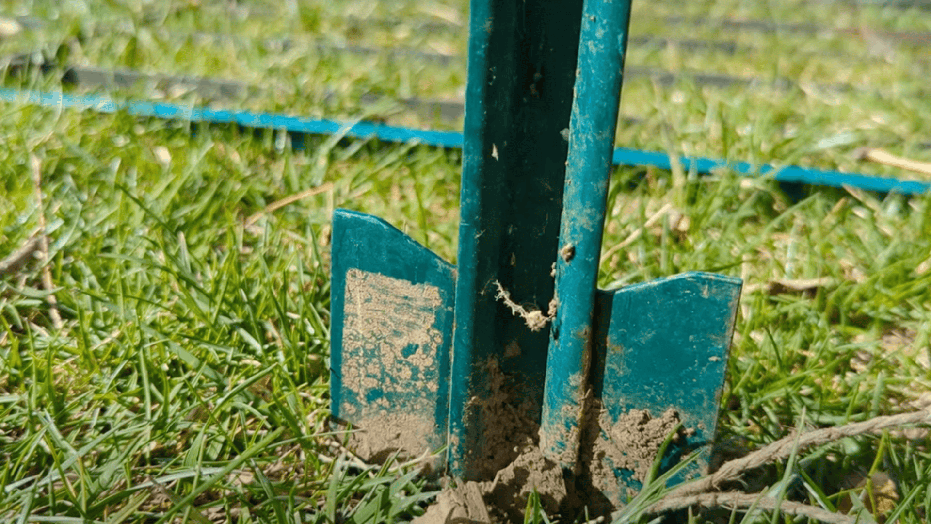 Step_2_Secure_Trellises_with_T-Posts