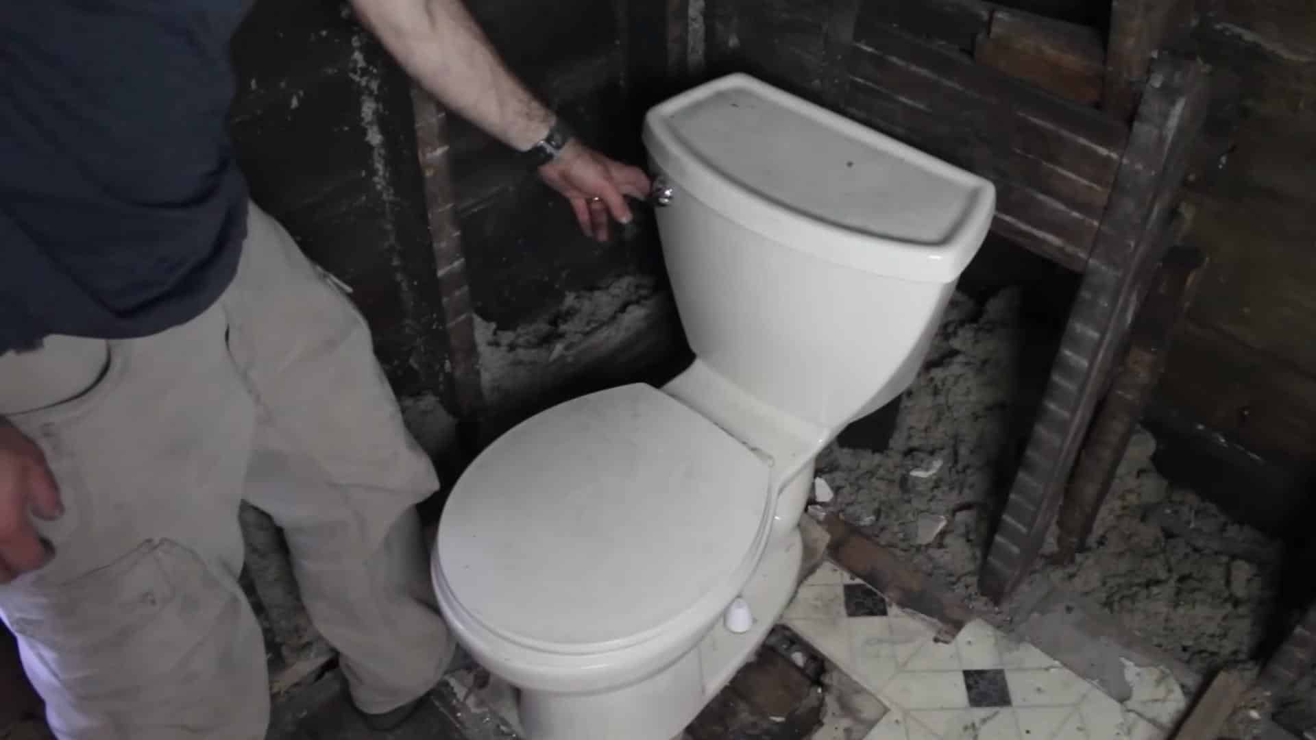 Step 2: Flush the Toilet