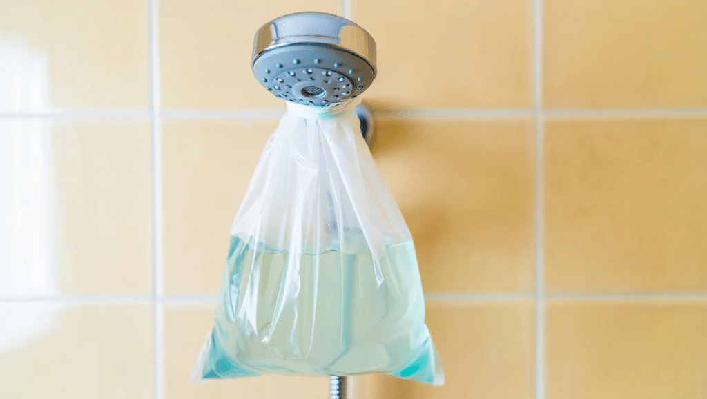 clean-shower-head-with-vinegar