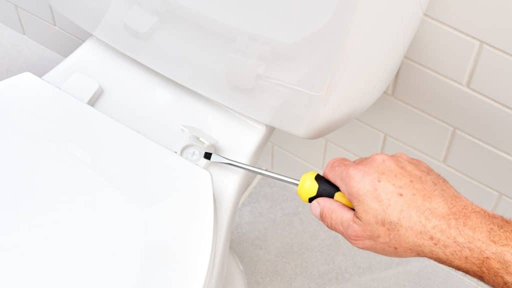 tighten-loose-toilet-seat